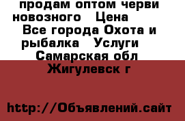 продам оптом черви новозного › Цена ­ 600 - Все города Охота и рыбалка » Услуги   . Самарская обл.,Жигулевск г.